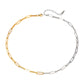 Gold & Silver Chain
