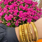 Gold Bamboo Bangle